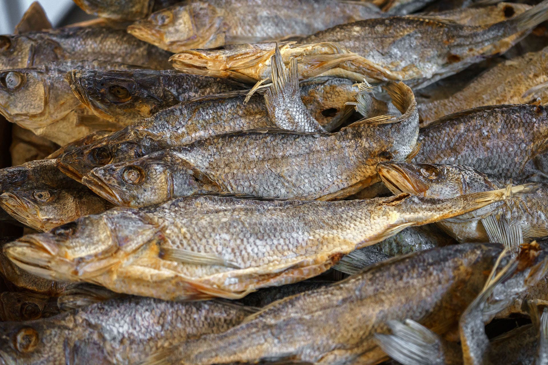 fish, stockfish, dried fish, smoked fish