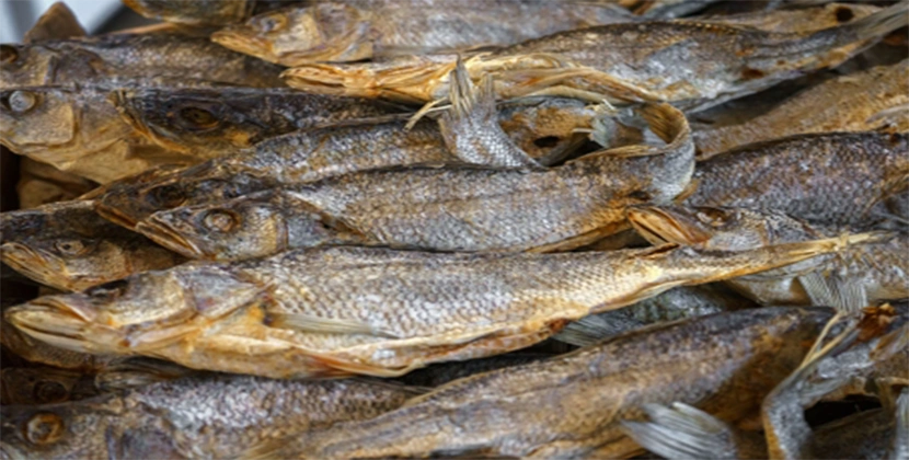 Dry and Smoked Vobla Fish Recalled Due to Botulism Concerns Home  Blog  2012  April Dry and Smoked Vobla …
